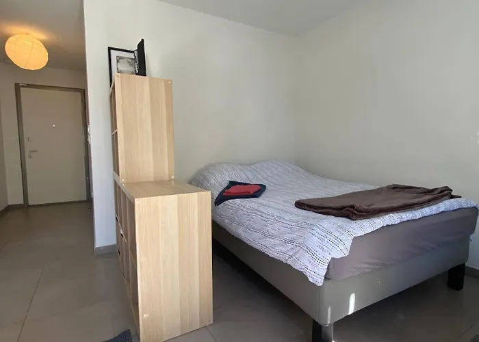 Avec Balcon Immeuble Standing Lägenhet